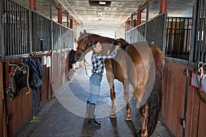 Woman brushes her horse in stables