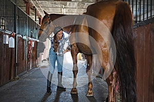 Woman brushes her horse in stables