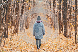 Young woman standing alone along trail in autumn forest. Back view. Travel, freedom, nature concept.