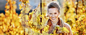 Young woman standing in autumn vineyard