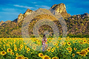 Young woman standing in a field of sunflowers