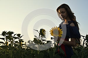 A young woman stands among the fields of sunflowers