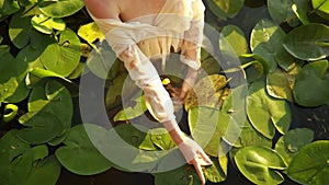 Young woman stands in the lake among the leaves of yellow water-lily.