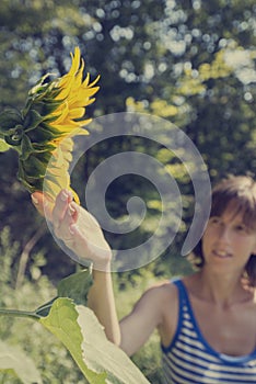 Young woman in stripped shirt touching a beautiful blooming sunflower