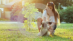 Young woman stroking and scratching cute pug dog, playing on the lawn in the park at sunset