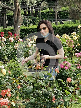 Young woman strolls in a rose garden