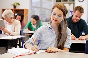 Young woman studying at an adult education class