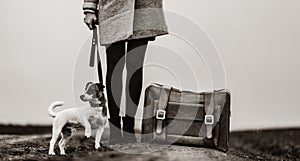 young woman with suitcase and dog standing on the road