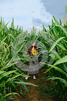 Young woman with sunflower in her hands standing in the corn field