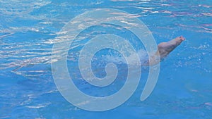 Young woman in swimsuit jumping into clean blue pool and disappears under water