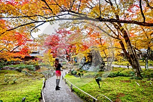 Young woman take a photo in autumn park. Colorful leaves in autumn, Kyoto in Japan