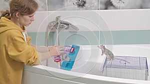 A young woman takes care of a pet, washes a labyrinth under a tap with water and cleans a cage in the bathroom, a rodent