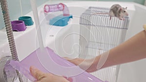 A young woman takes care of a pet, washes a pan under the tap with water and cleans the cage in the bathroom, a rodent