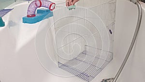 A young woman takes care of a pet, washes under a tap with water and cleans the cage in the bathroom, a rodent, a rat