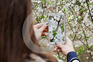 Young woman takes photo on smartphone blooming spring tree