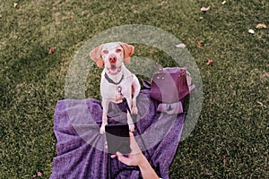 young woman taking a selfie with mobile phone with her dog at the park. autumn season