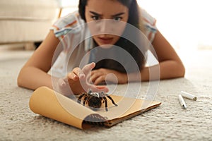 Young woman and tarantula. Arachnophobia fear of spiders