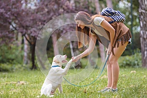 Young woman teaching a dog basic commands