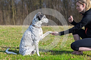 Young woman teaching her dog to present its paw