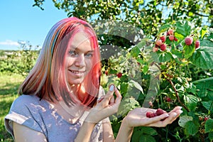 Young woman teenager picking ripe red raspberries from bush