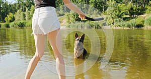 Young woman throws aport into the water to German Shepherd, dog swims in water after stick. Daytime, lake, spring summer
