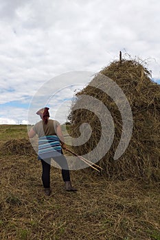 A young woman throws hay on a wooden support with a hand tool for further drying on the field, the season of haymaking