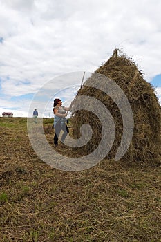 A young woman throws hay on a wooden support with a hand tool for further drying on the field, the season of haymaking