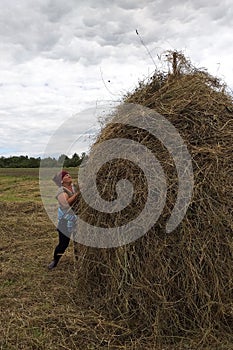 A young woman throws hay on a wooden support with a hand tool for further drying on the field, the season of haymaking