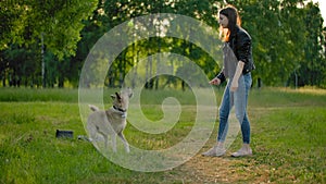 Young woman, throws a tennis ball to her dog to cath it in the air. A fun game with a pet.