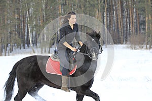 Young woman on top a bay horse in winter forest