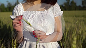 Young woman touches the spikelet in her hands closeup. A girl in a white dress stands in a green wheat field.