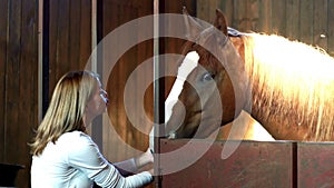 Young woman touching horse in farm stall. Woman and horse standing in stable