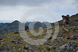 Young woman tourist walking on top of the mountain ridge Barguzinsky