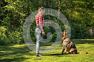 Young woman train german shepherd dog to sit