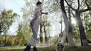 Young woman training black and white dog stafford in the park.