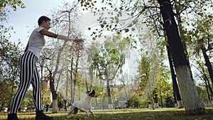 Young woman training black and white dog stafford in the park.