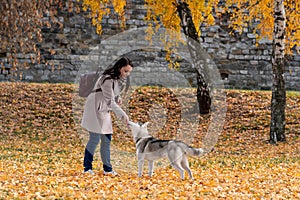 Young woman training her husky dog in city park