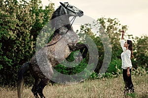 Young woman trains grey horse in pasture