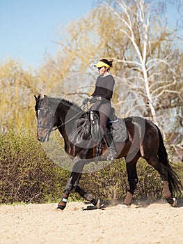 Young woman trains a horse