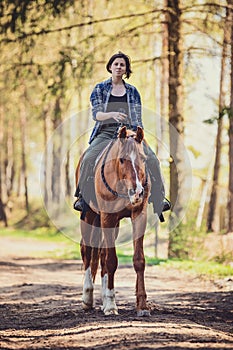 Young woman and trakehner horse in the morning in spring forest