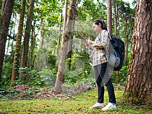 Young woman traveler searches GPS coordinates on tablet in forest on summer vacations day. Lifestyle hiking concept
