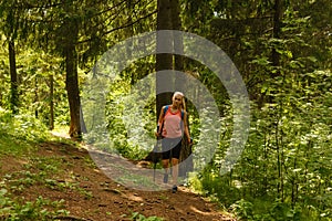 Young woman trekking in a mountain forest