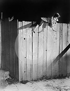 Young woman trying to climb over a wooden fence