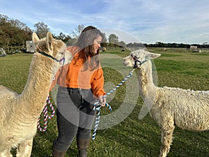 Young woman with two alpacas, a Huacaya and a Suri, outdoors