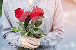 Young woman two hands holding red rose flower nature beautiful flowers