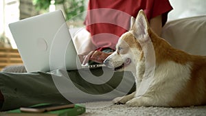 Young woman is typing on laptop keyboard while carpet her pet sitting on floor at home avki.