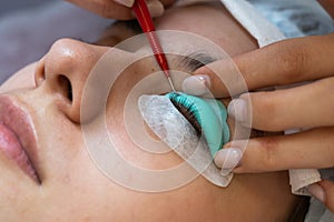 Young woman undergoing eyelash tinting and lamination procedure.