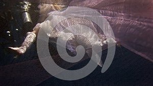 Young woman underwater model in white cloth on background of blue water.