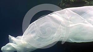 Young woman underwater model in white cloth on background of blue water.