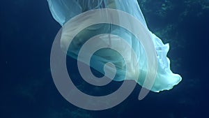 Young woman underwater model in white cloth on background of blue water.